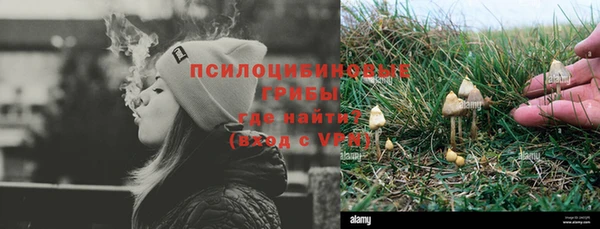 бошки Снежинск